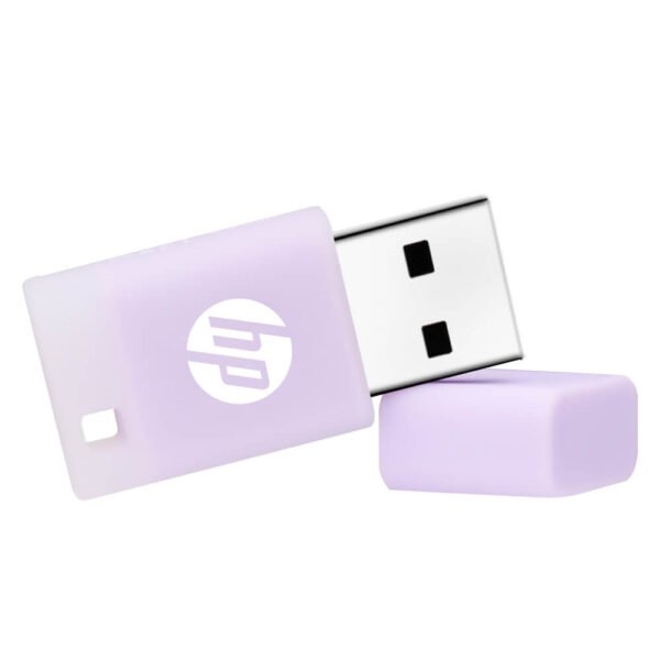 HP v168 USB 2.0 Flash Drives